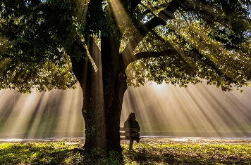 spiritual-renewal